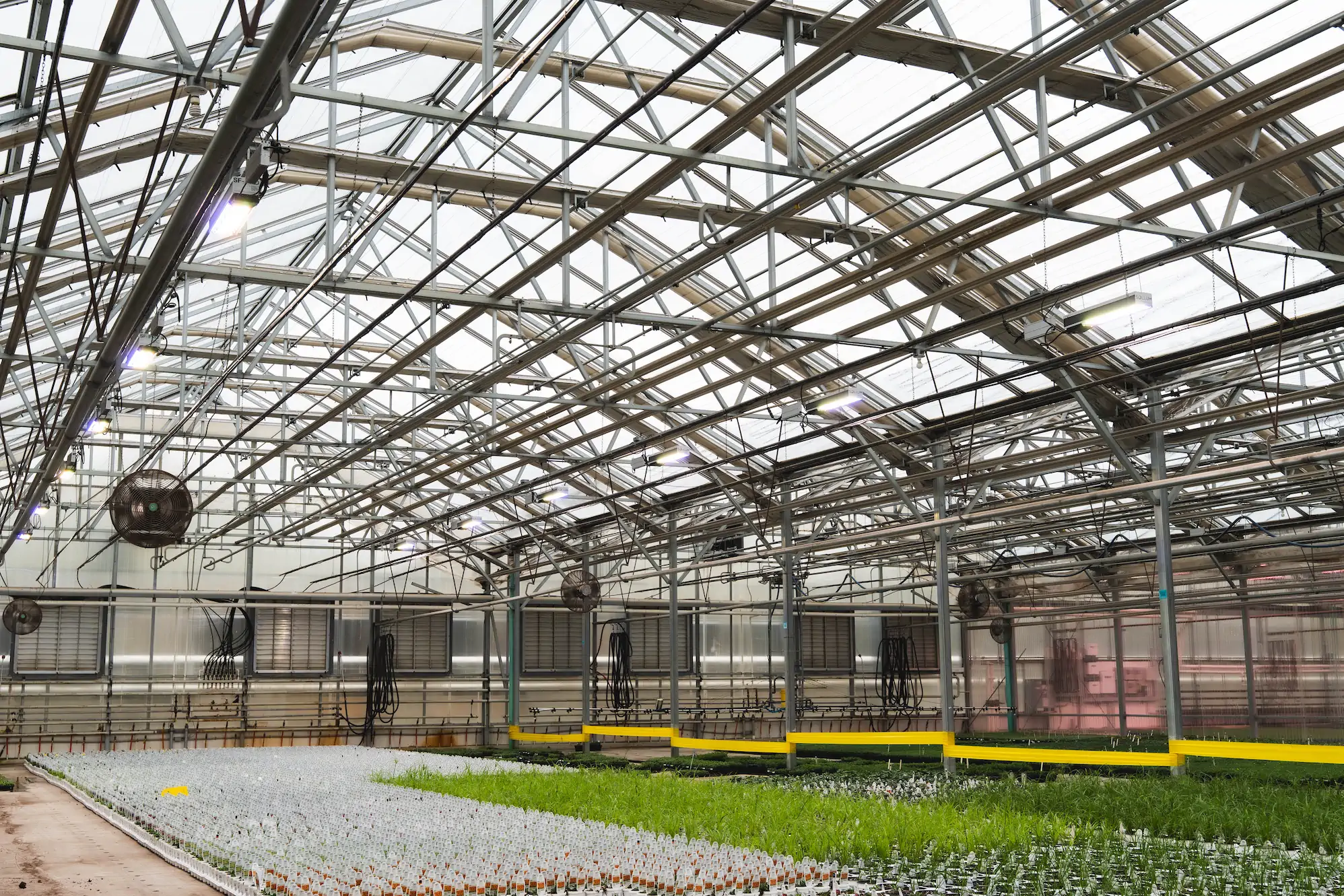 Flower Greenhouse with Dynamic LED lighting