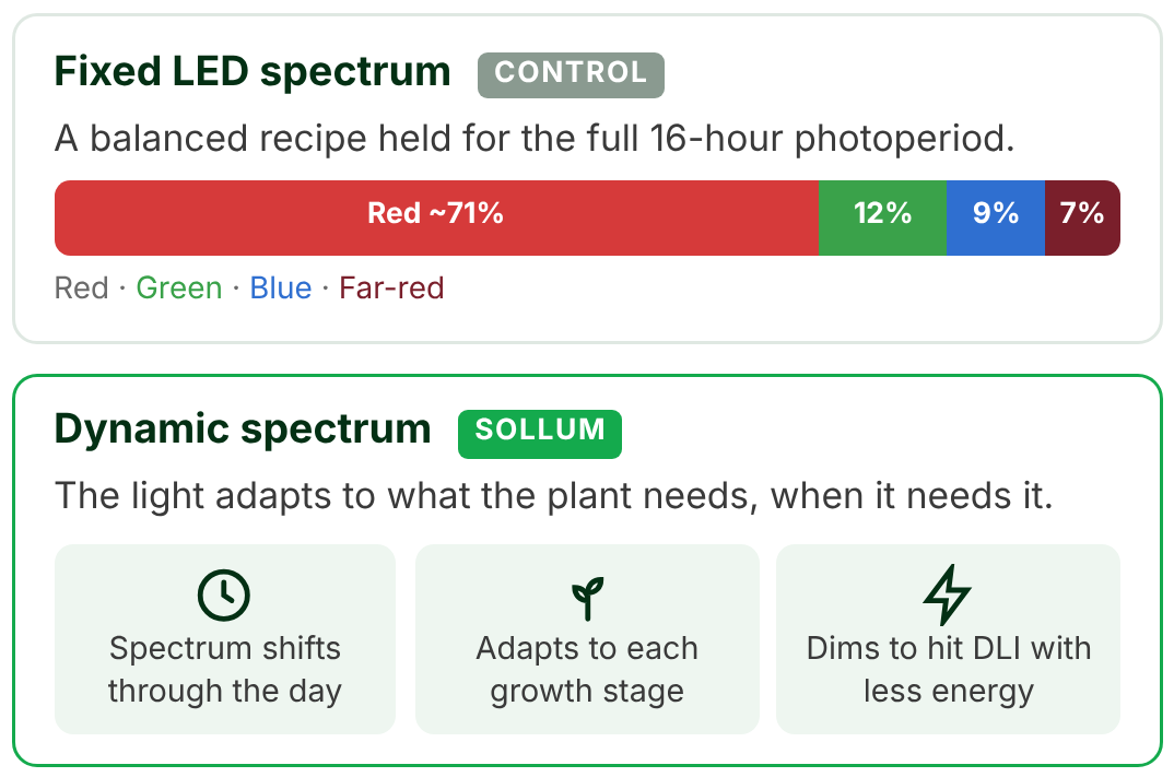 Comparison of a fixed LED spectrum of about 71% red, 12% green, 9% blue and 7% far-red with a dynamic spectrum that shifts through the day, adapts to growth stage and dims to reach the DLI target