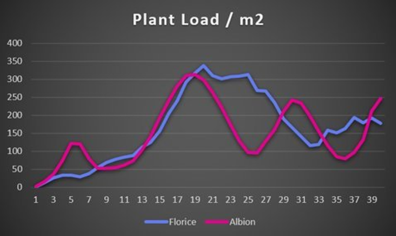 Line chart of plant load per square metre by week for Florice and Albion over about 40 weeks