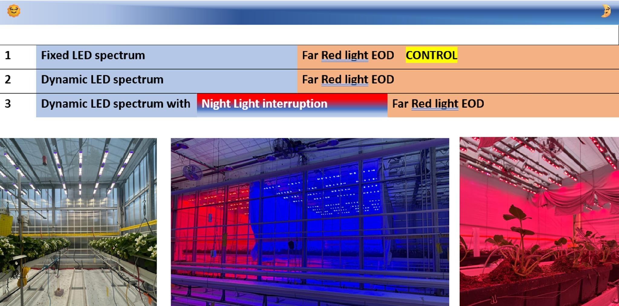 Table of three lighting strategies, fixed LED spectrum, dynamic LED spectrum, and dynamic spectrum with night-light interruption, with photos of each zone