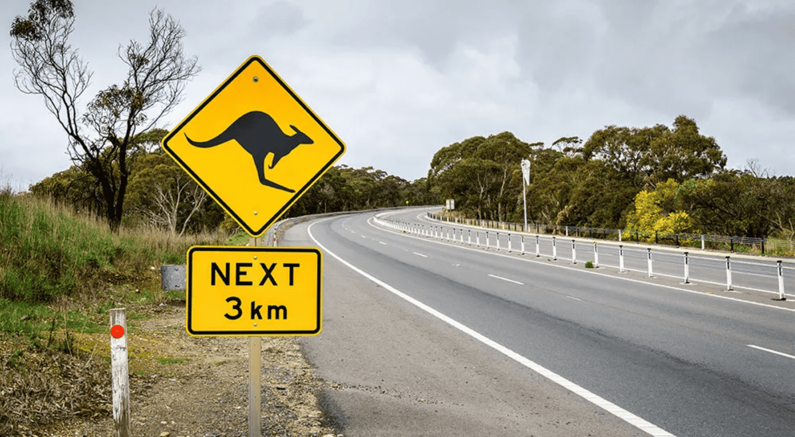 A Kangaroo warning sign on the side of a highway winding through the Victorian countryside.