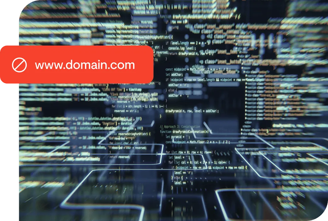 DNS-Level Protection