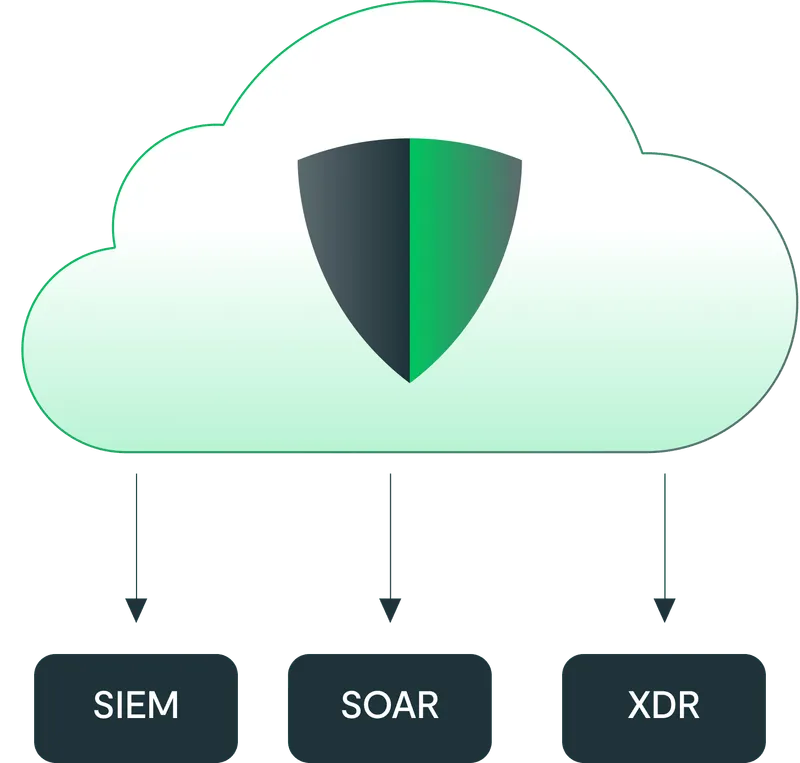 Seamless ecosystem integration.