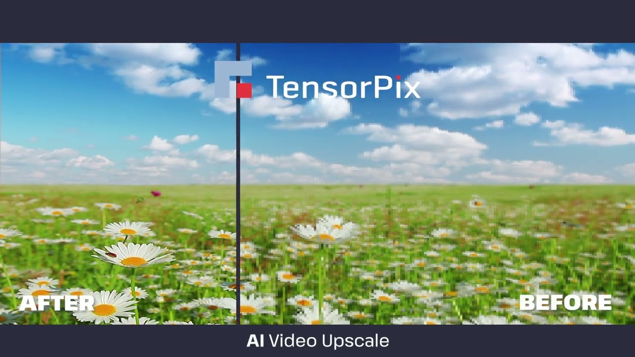 A before and after shot using TensorPix AI Video Upscale