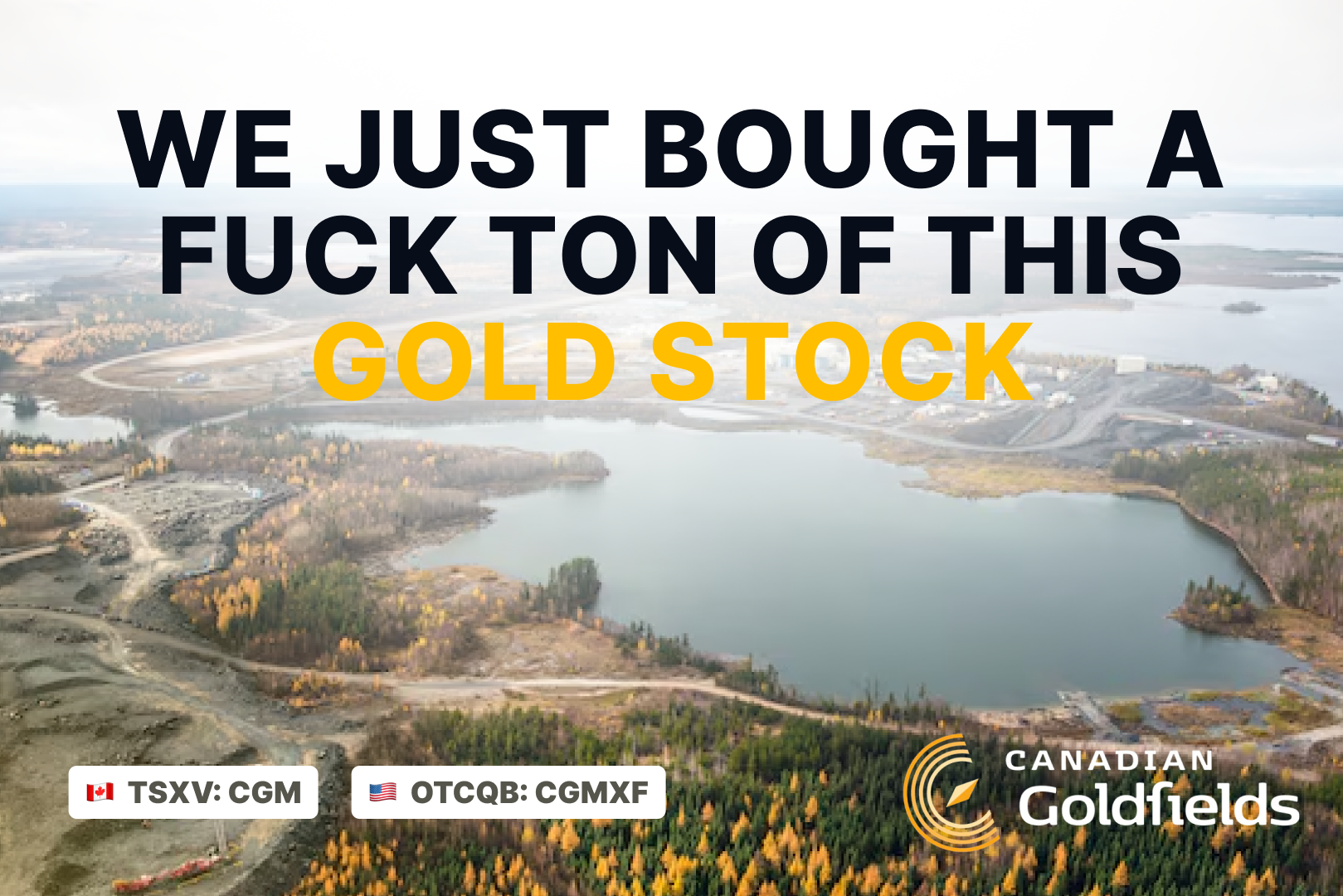 WE JUST BOUGHT A FUCK TON OF THIS GOLD STOCK