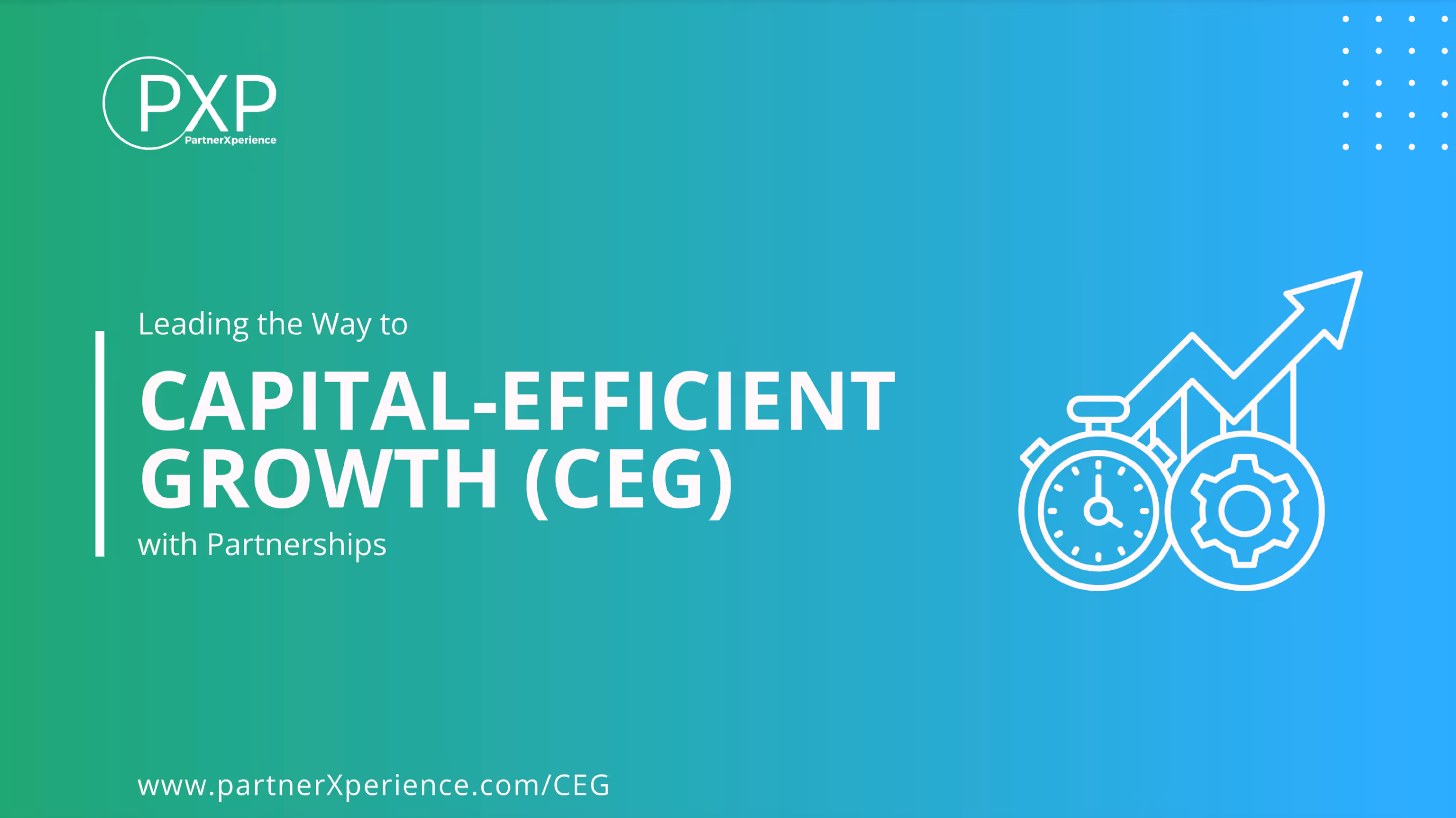 Capital Efficient Growth Playbook by PartnerXperience