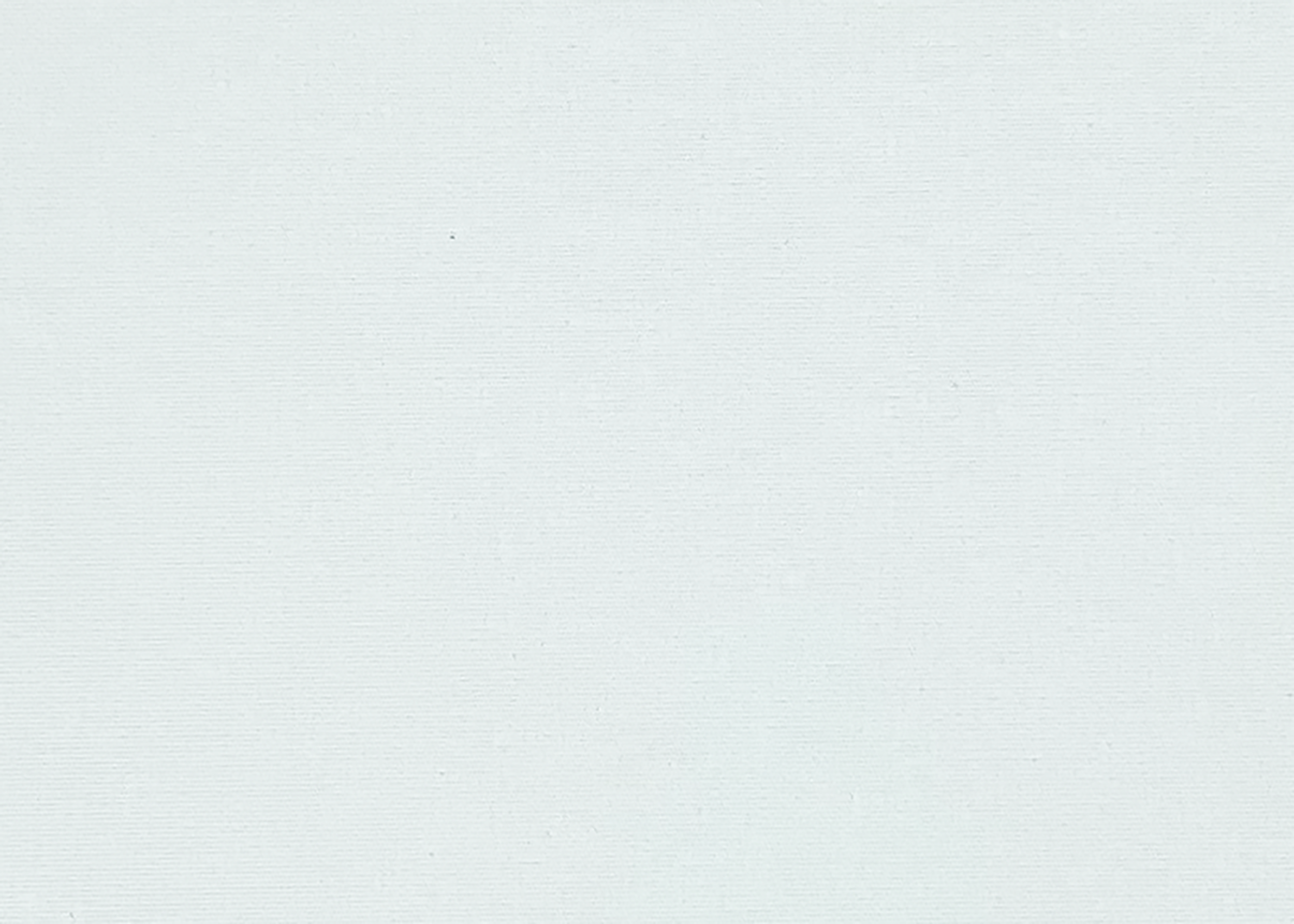 LL01 BO white