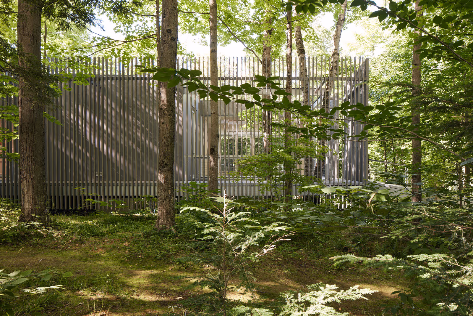 Fondation Grantham