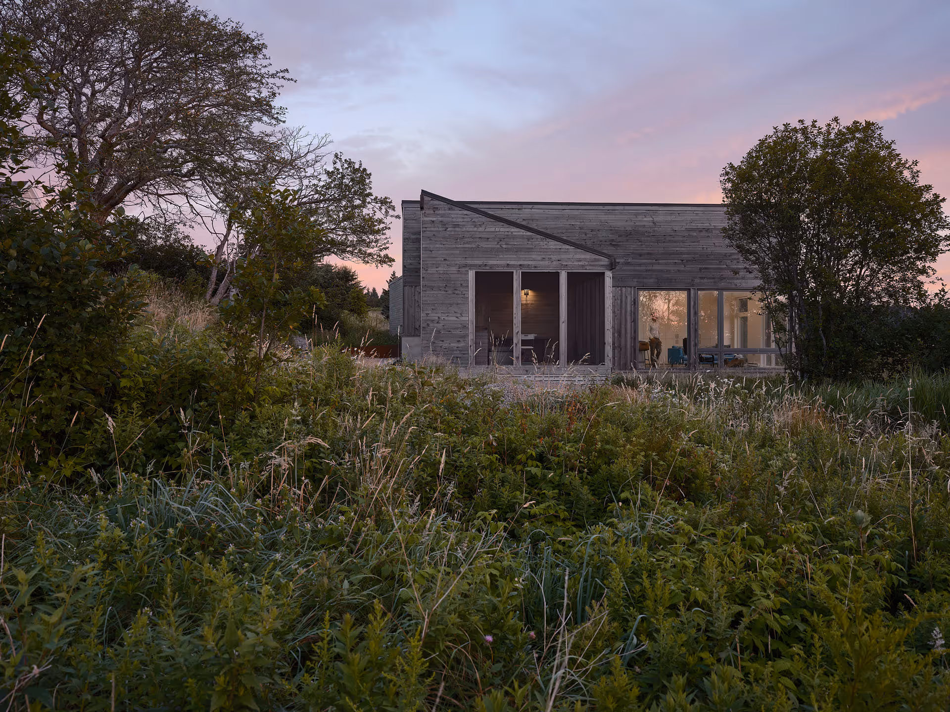 Thicket Studio
