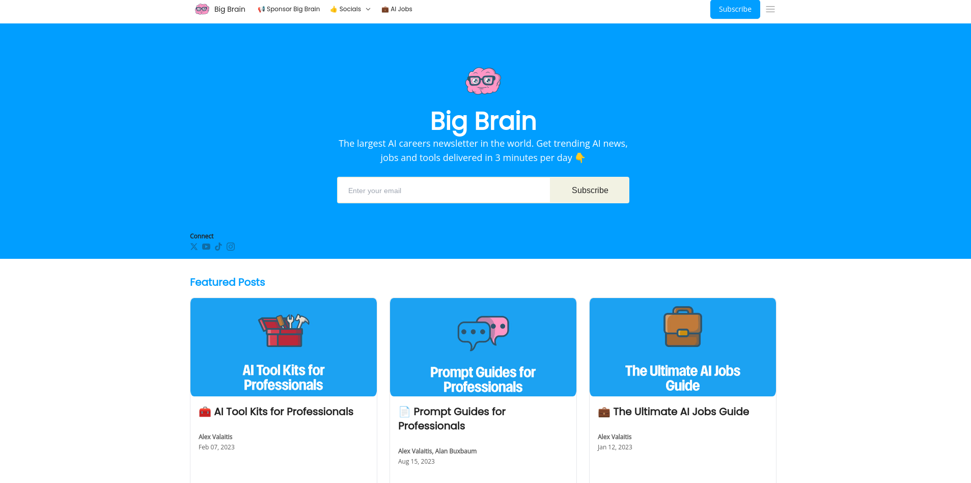 Newsletter Landing Page Examples - Big Brain