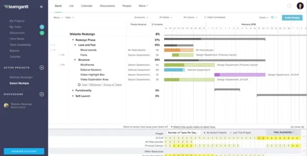 Esempio di Teamgantt