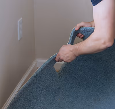 Technician removing old carpet.