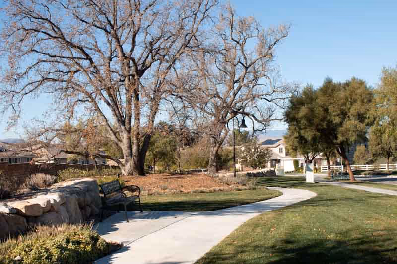 River Village Neighborhood Commons.