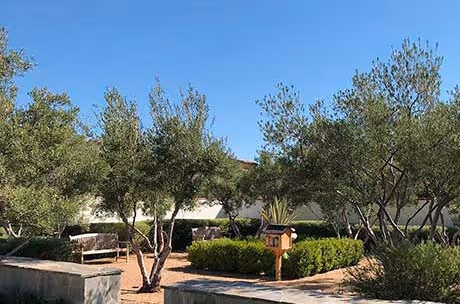 Villa Metro at Valencia common area.