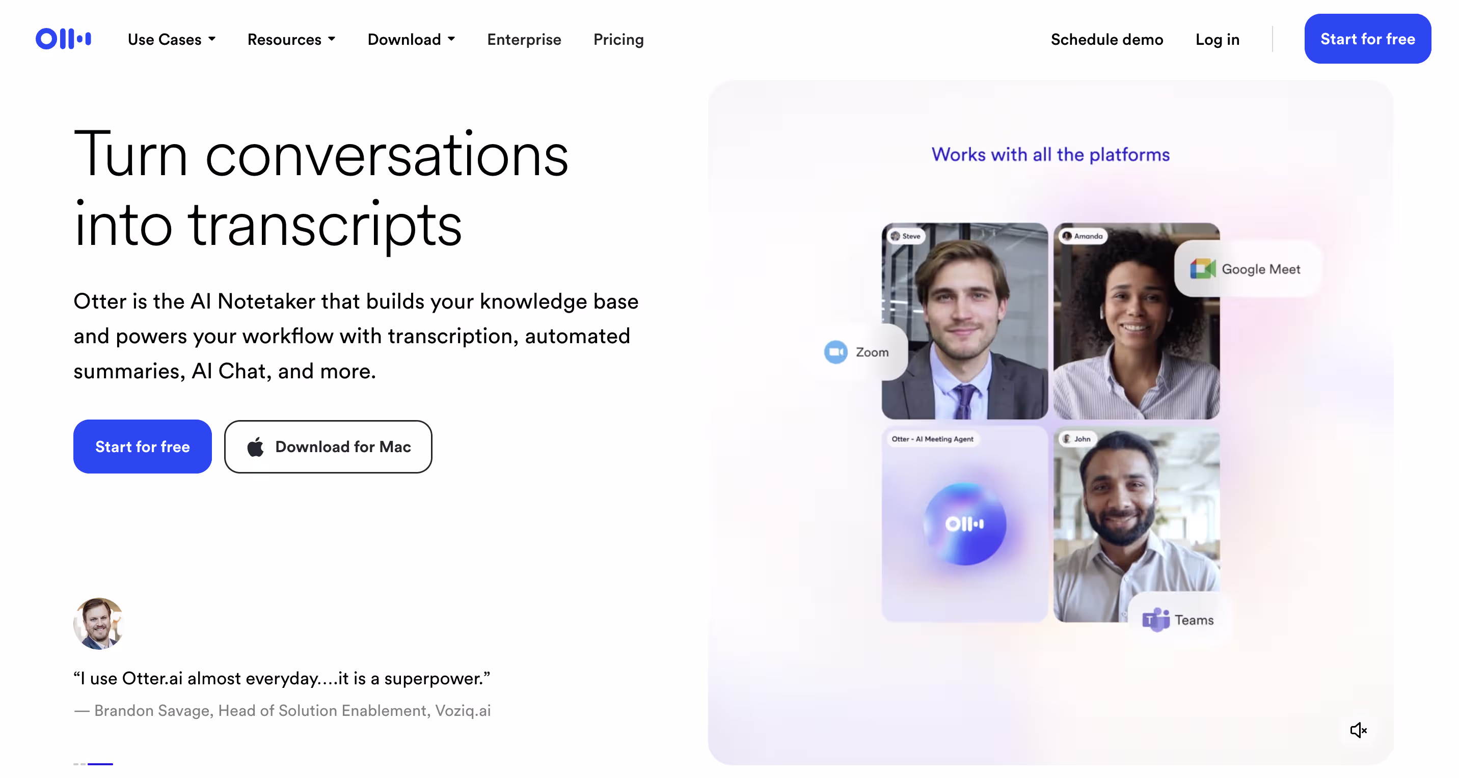 Fireflies hero image