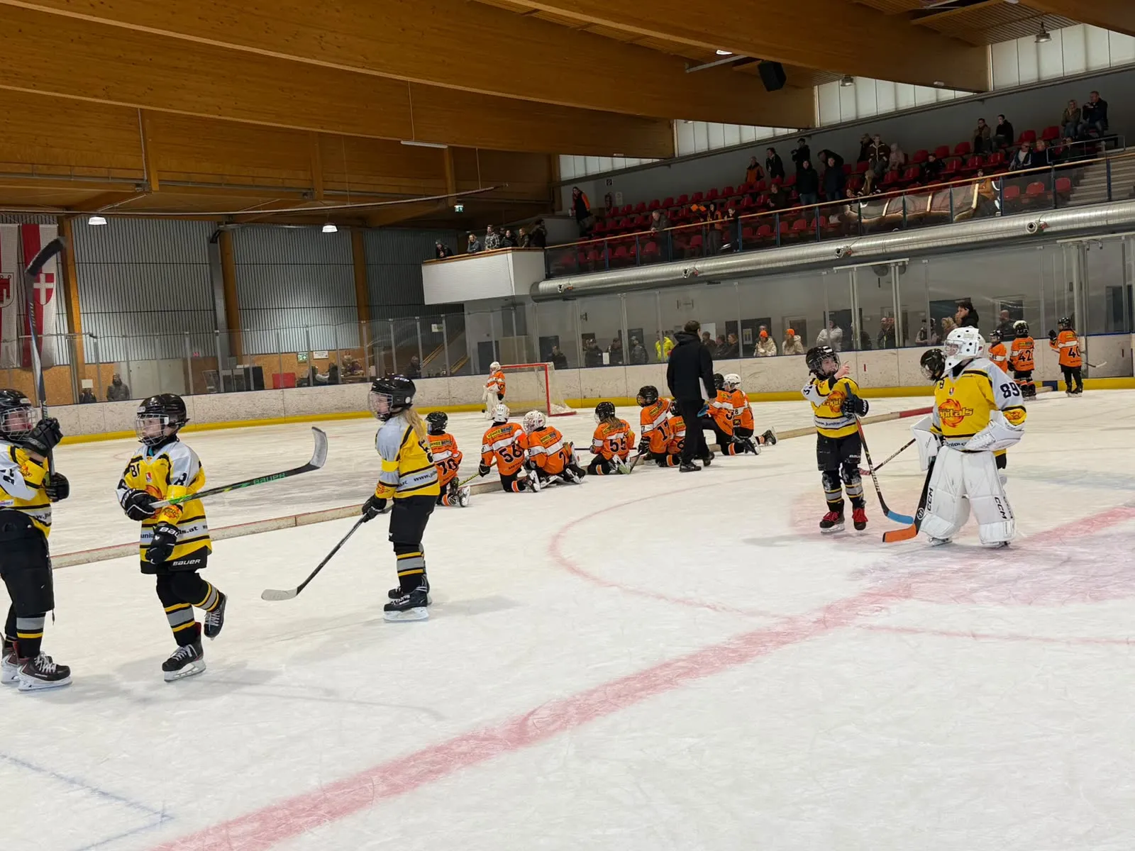 Spielszene mit einem Team in Gelb und den Bulls Weiz, Zuschauer auf der Tribüne