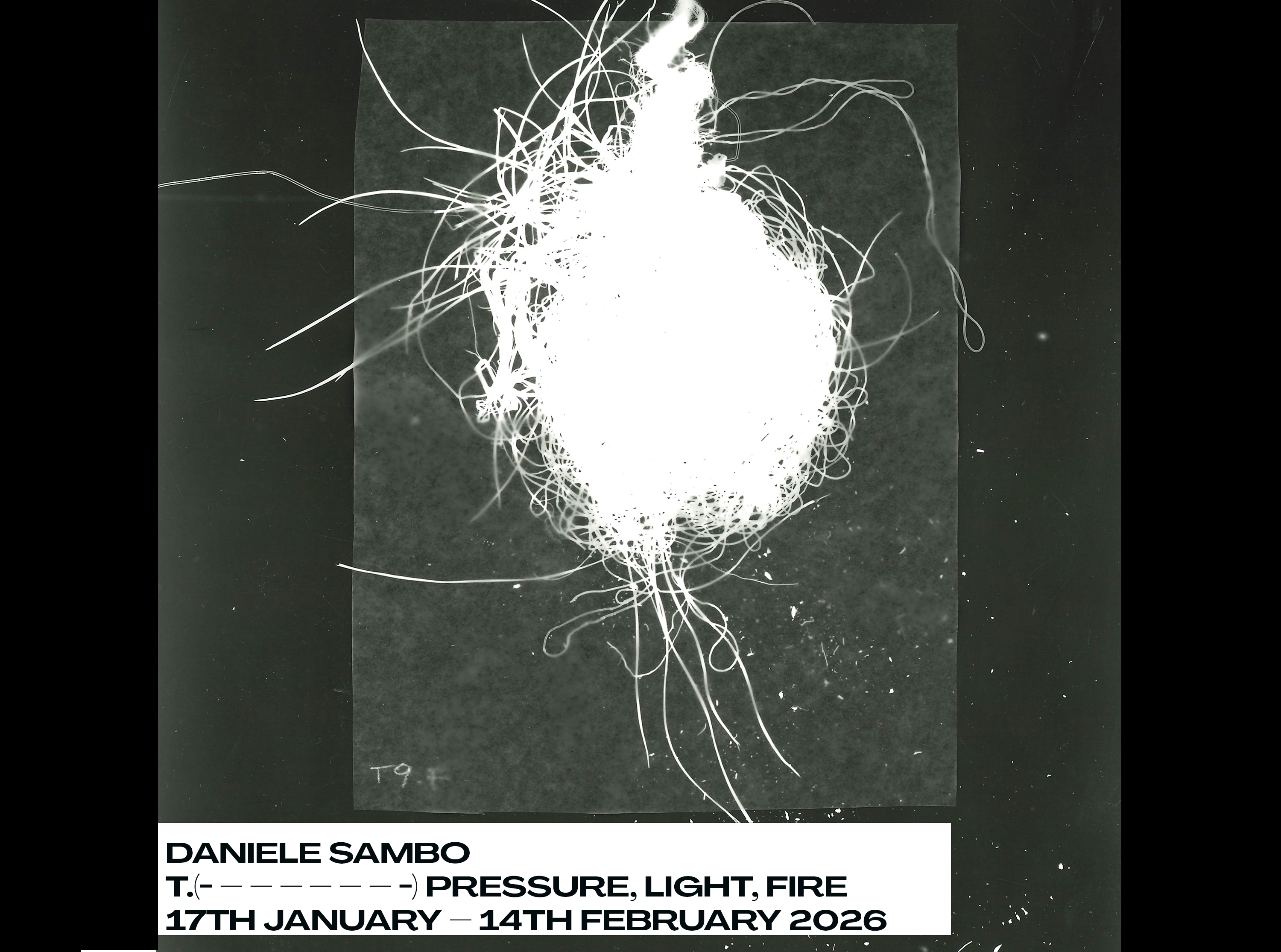 Daniele Sambo - Pressure, Light, Fire