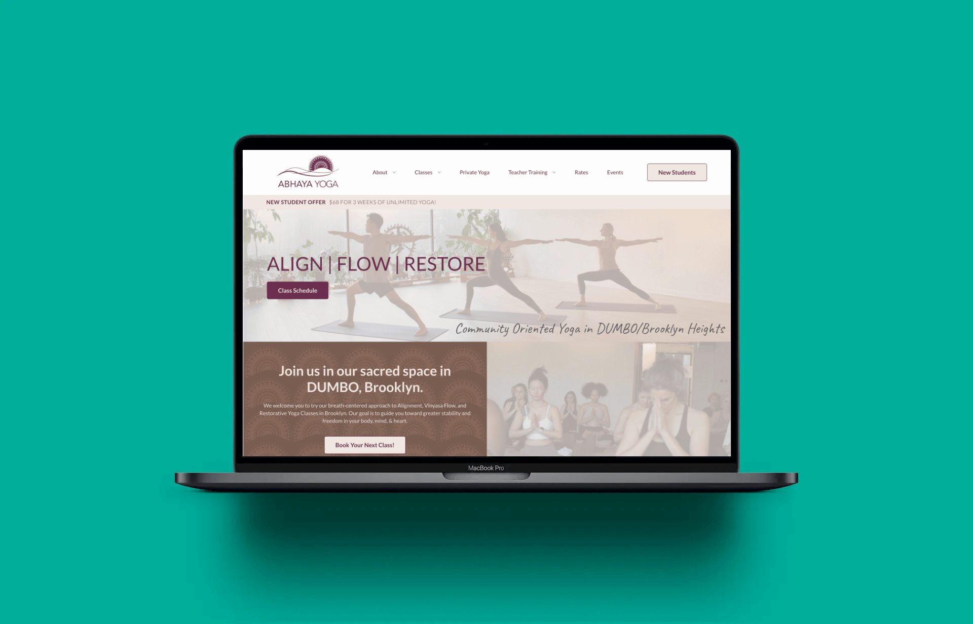 chiropractic website