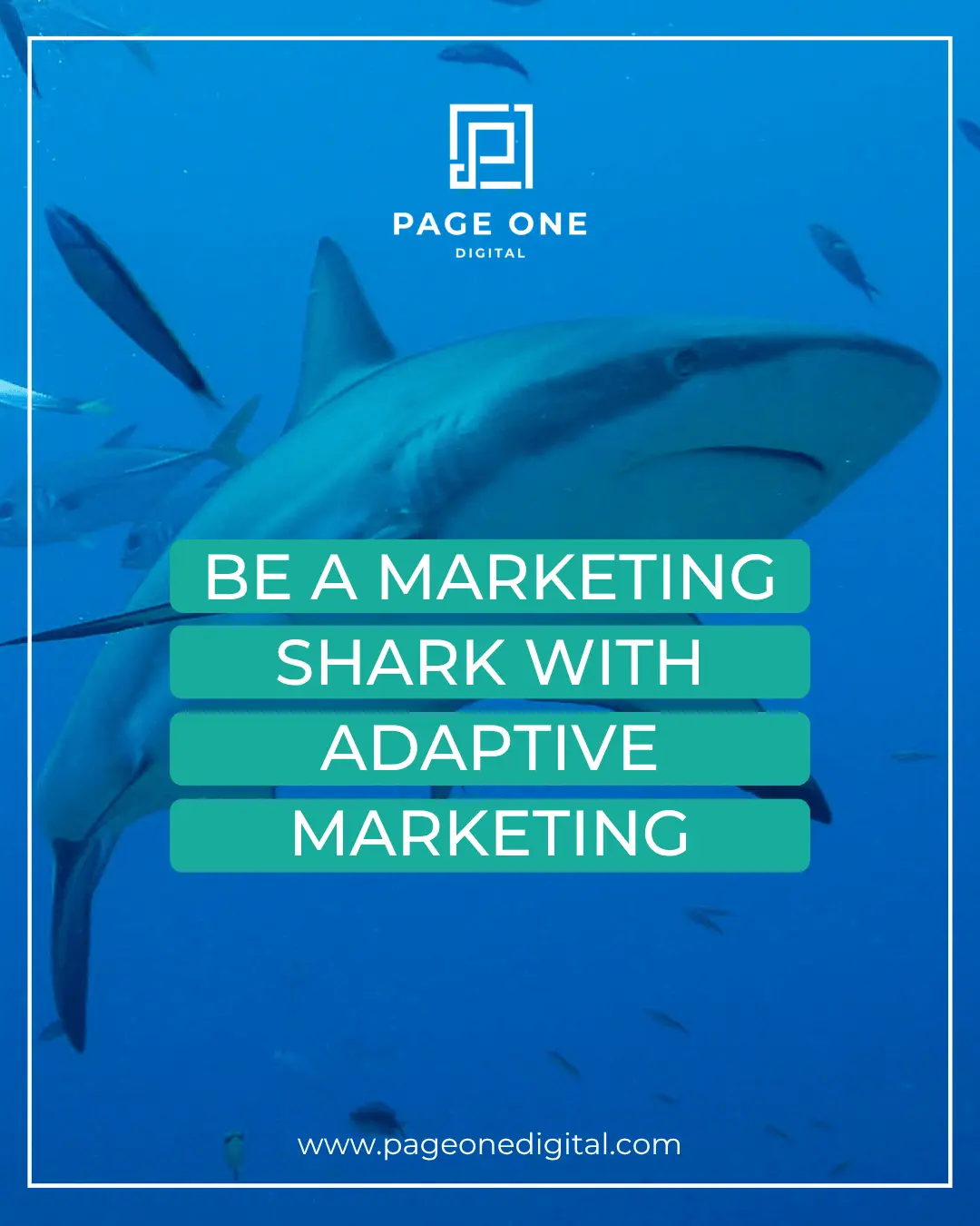 Be a Marketing Shark With Adaptive Marketing