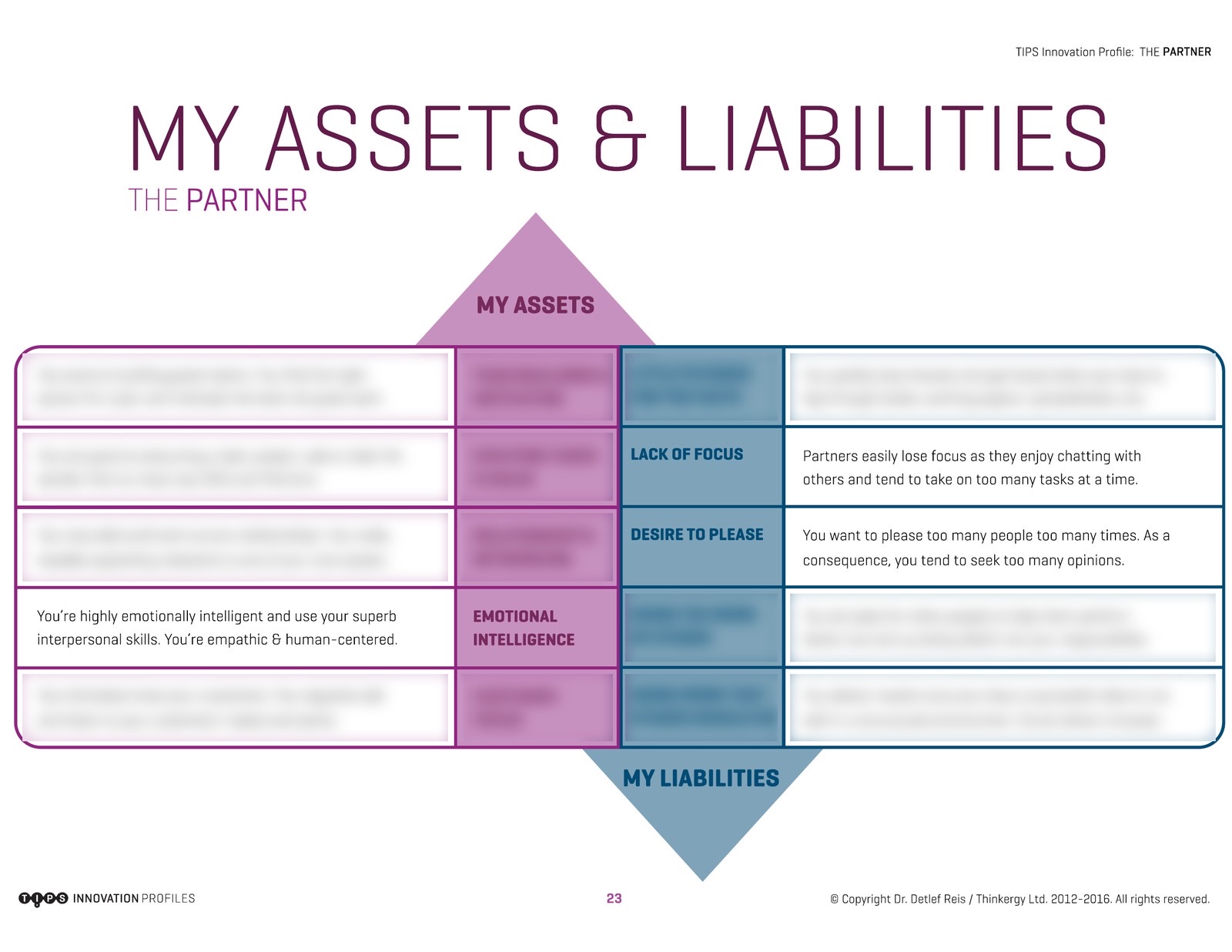 Sample page from a TIPS report showing the Partner profile’s assets and liabilities, with most entries blurred.