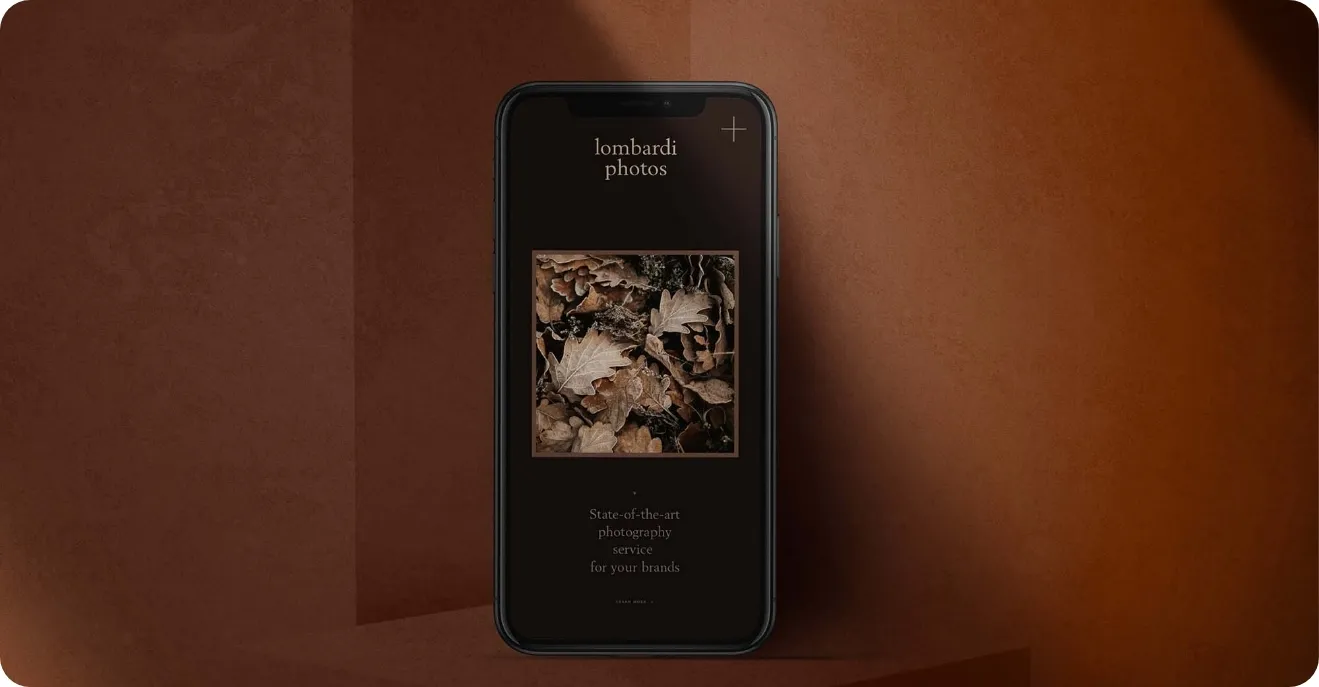Smartphone displaying a dark-mode photography app named Lombardi Photos, showing an image of autumn leaves.