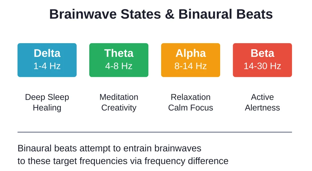 The relationship between brainwave frequencies and mental states that binaural beats aim to influence.