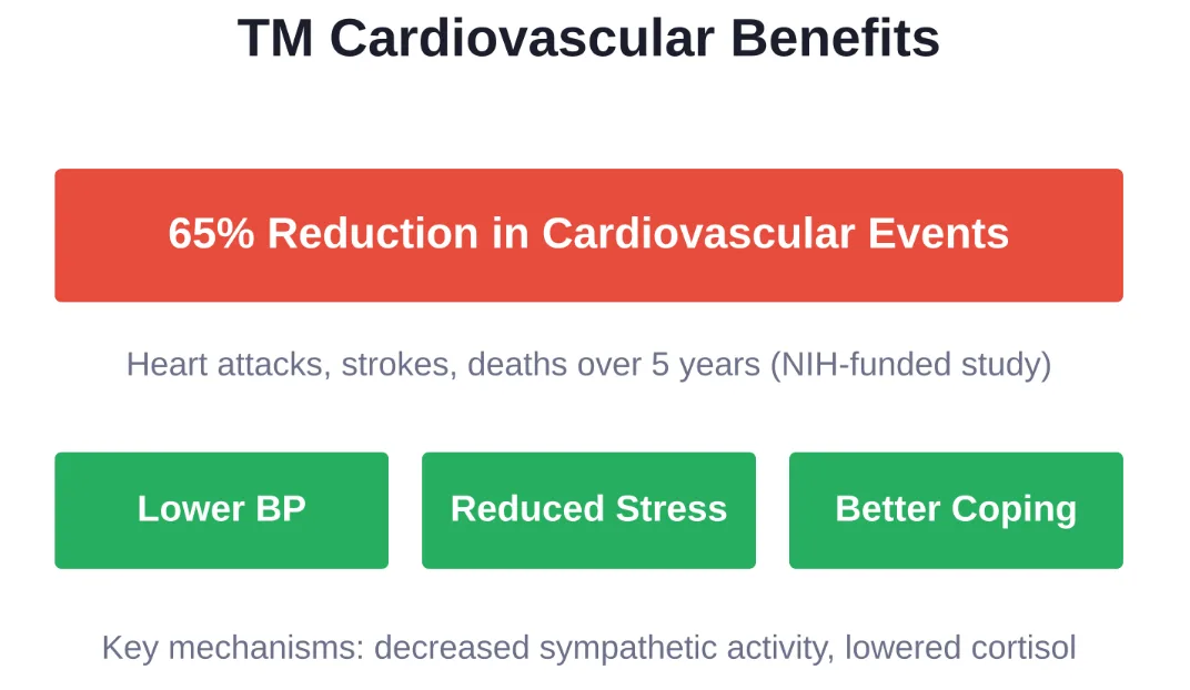 Transcendental Meditation demonstrates significant cardiovascular protection through multiple physiological pathways, supported by NIH-funded research.