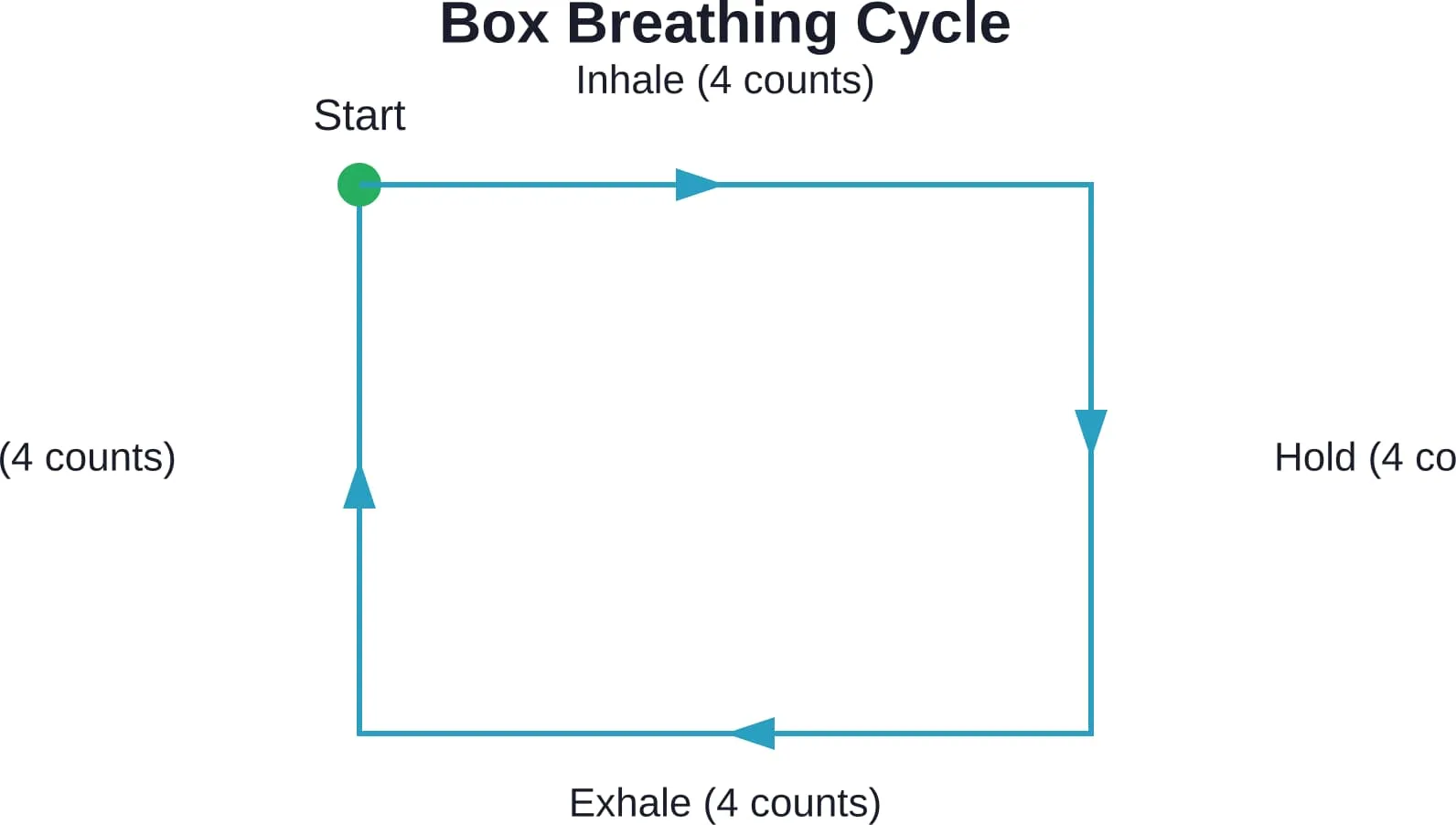 The box breathing pattern follows four equal phases of inhale, hold, exhale, and hold, creating a balanced rhythm that calms the nervous system.