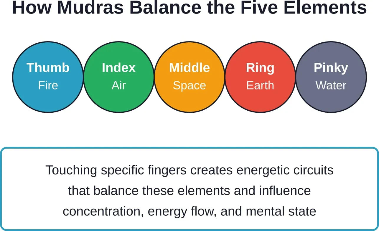 Traditional Ayurvedic understanding of how each finger corresponds to one of the five elements