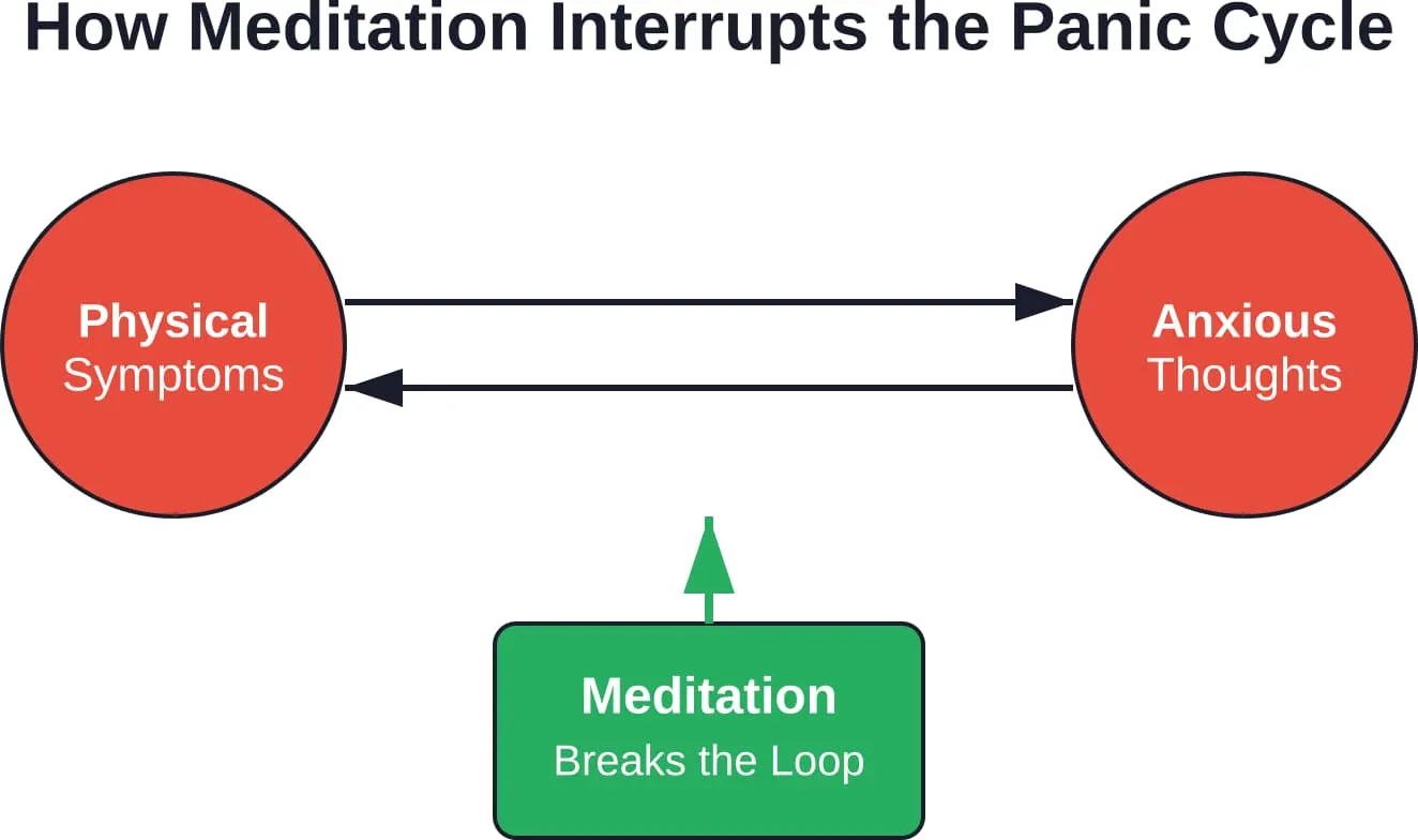 Meditation interrupts the feedback loop between physical panic symptoms and anxious thoughts, preventing escalation.