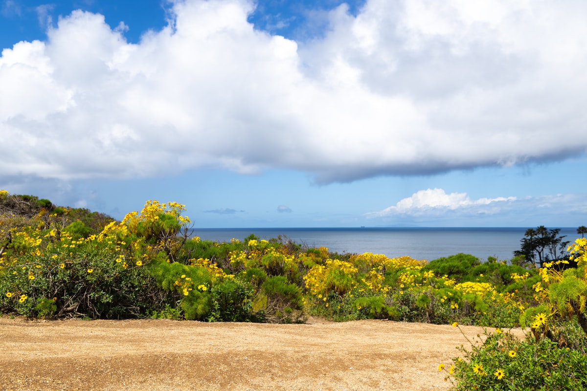 Malibu coastline along Pacific Coast Highway Los Angeles