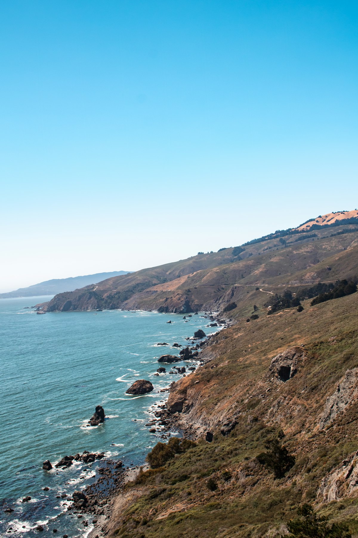 Minimalist IV therapy icon set featuring customizable add-ons for hydration, detox, and recovery.