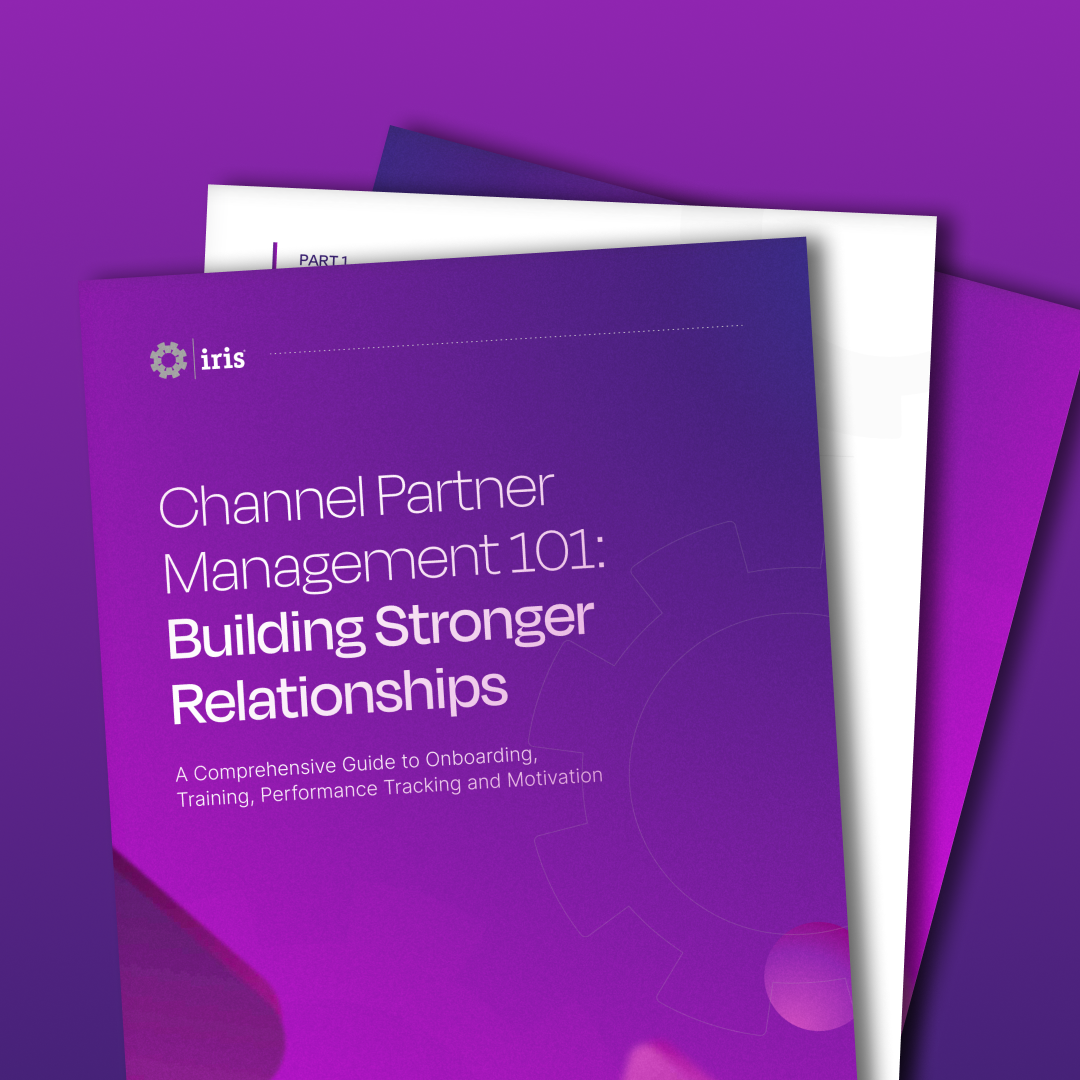 Channel Partner Budgeting and Incentives Guide