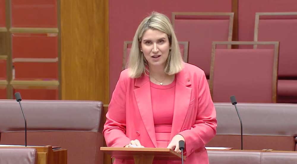Senator Corinne Mulholland stand in parliament to make a speech