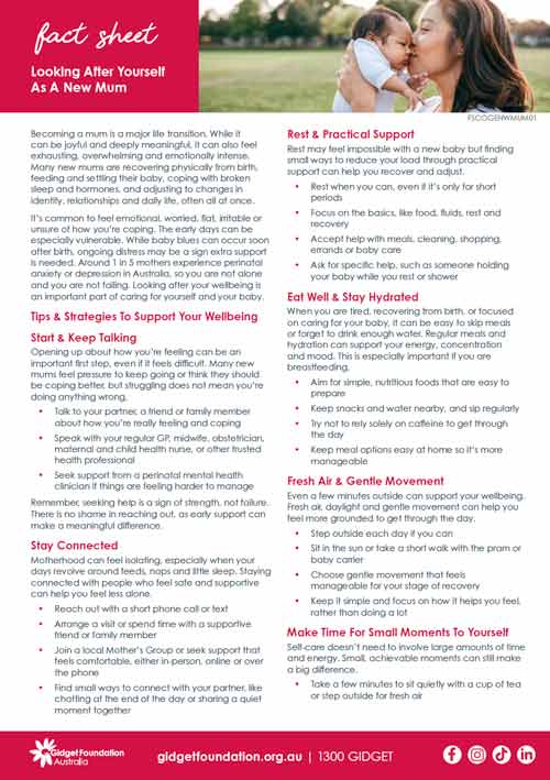 Image of fact sheet cover