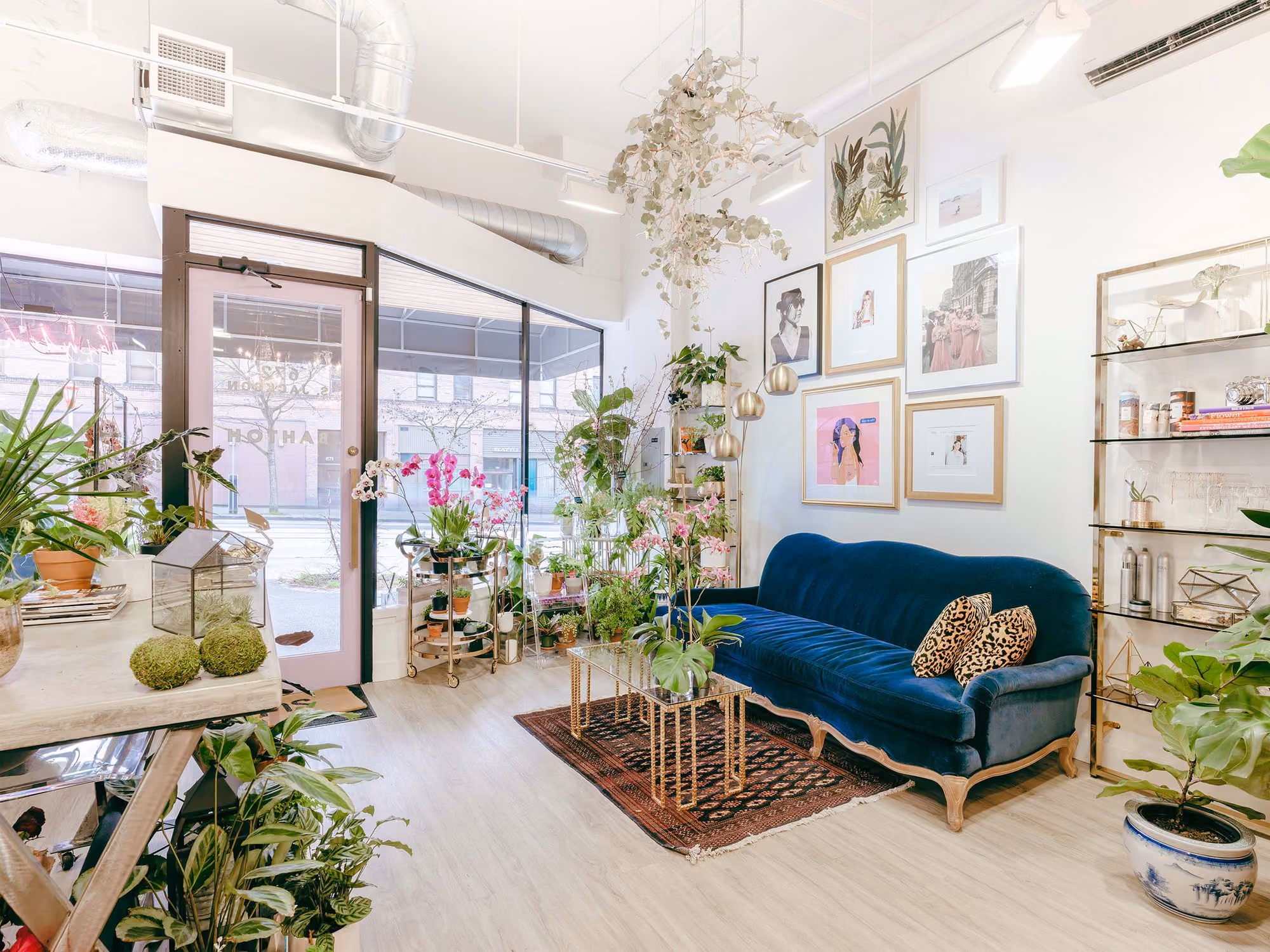 Interior of BAHTOH salon filled with plants, framed art on the walls, a blue velvet sofa with leopard-print pillows, and glass display shelving, with a glimpse of the storefront and street outside