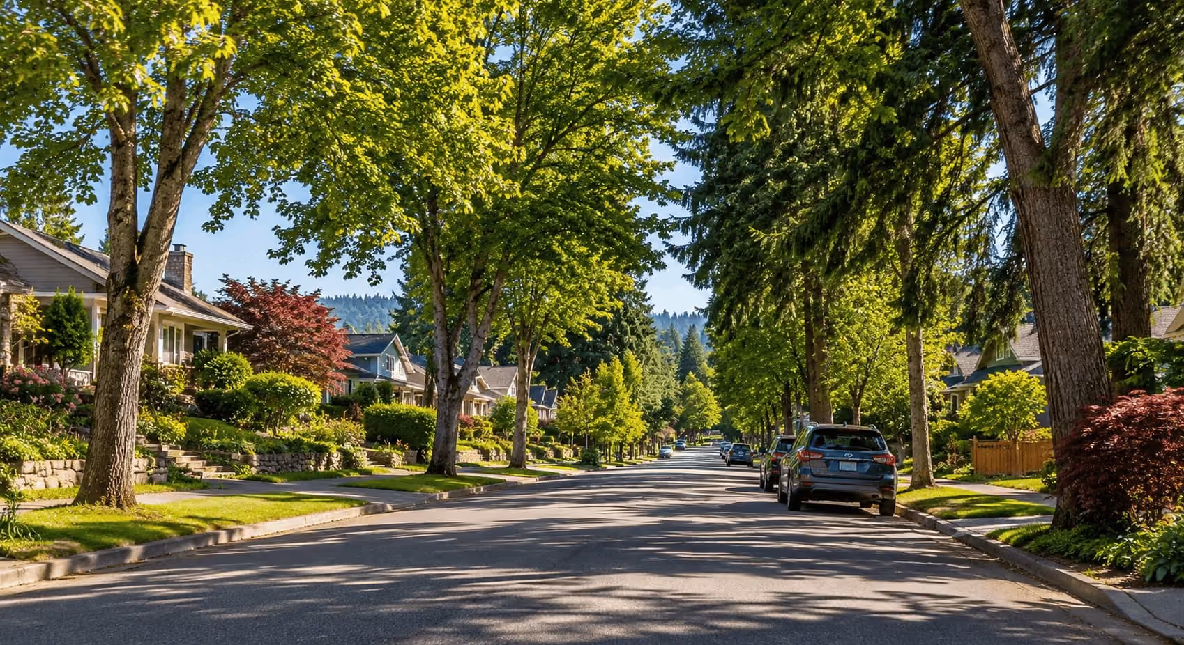 Residential street with mature trees in unincorporated King County near Seattle.