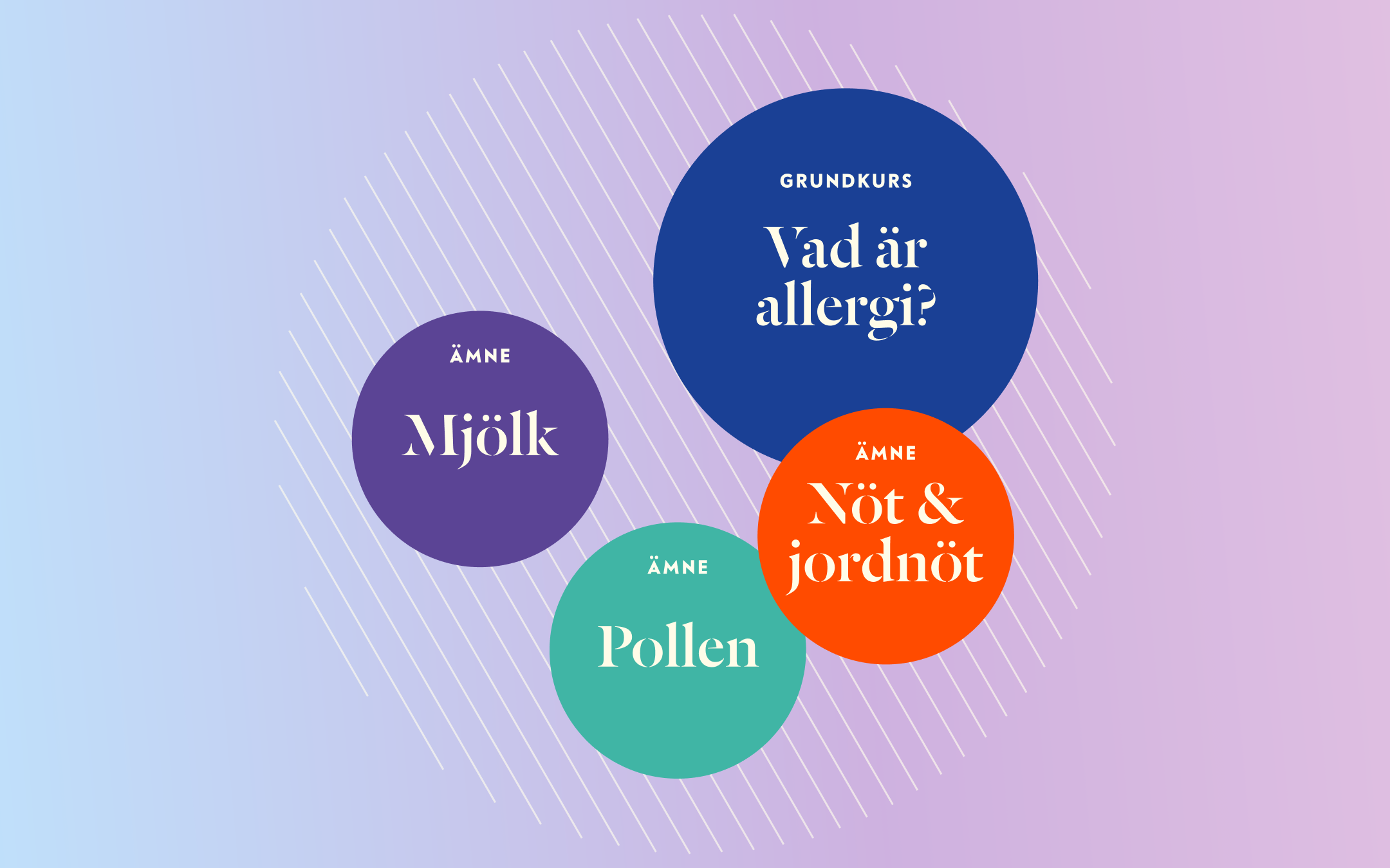 Allergiakademin är en kunskapsplattform på Astma- och allergiförbundets webbplats.