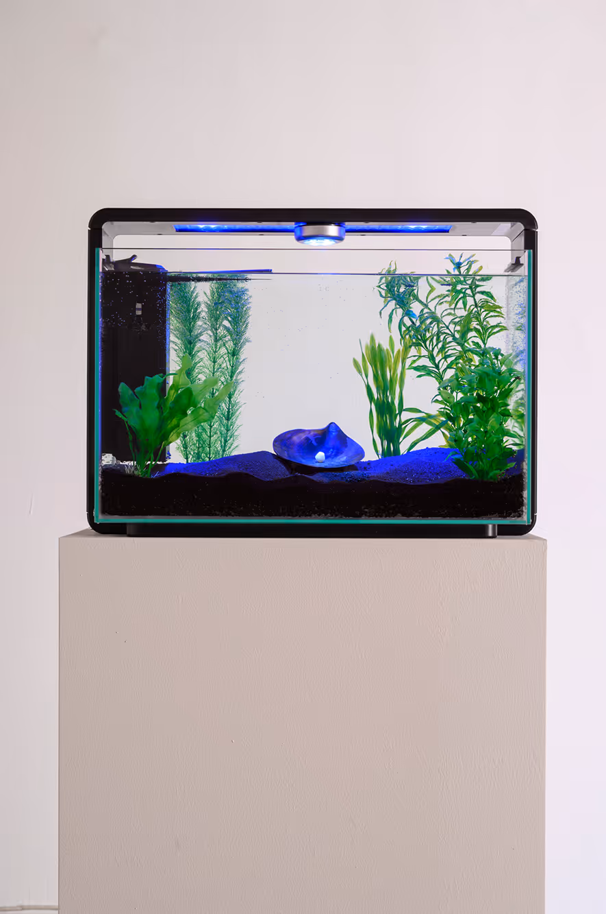 Akvarium med grønne planter og blåt lys, placeret på en hvid piedestal.