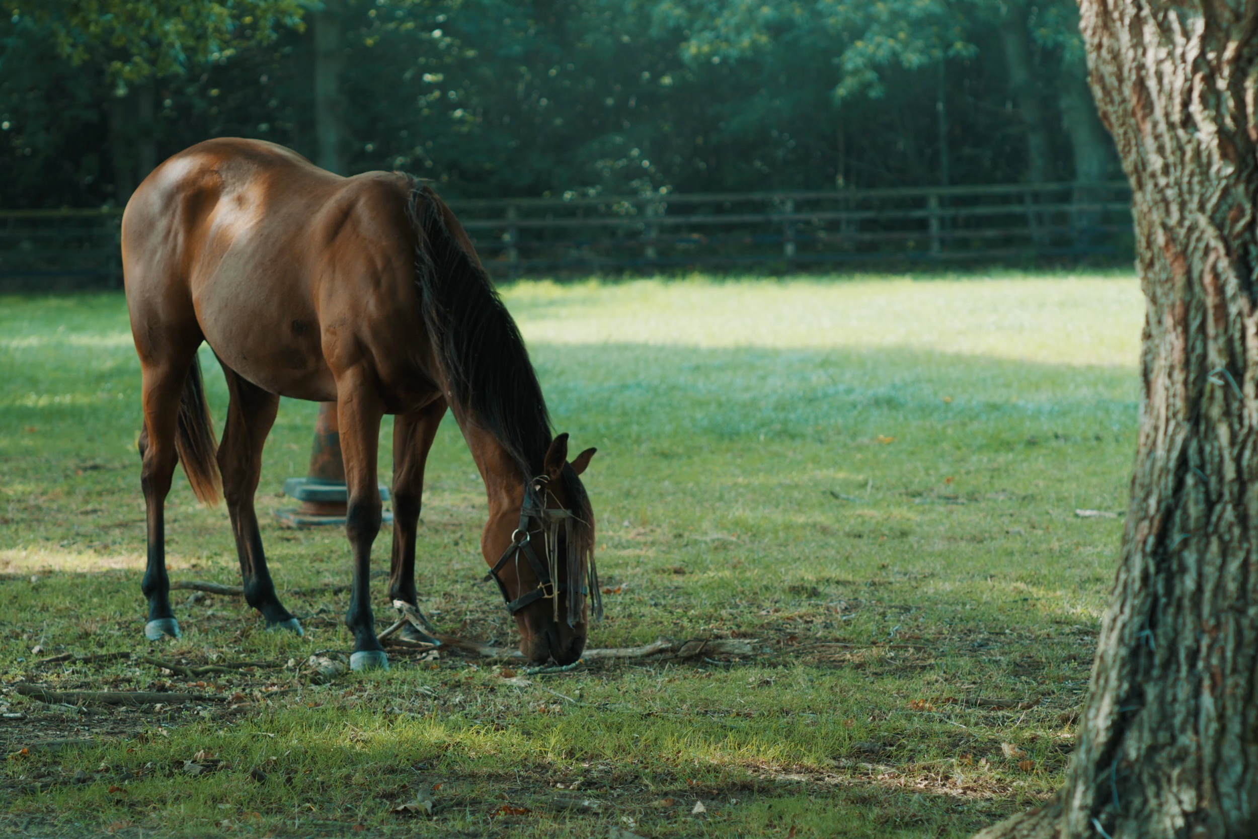Gallagher reinforcing their commitment to nature and local communities video by Blueprint Film Video production company