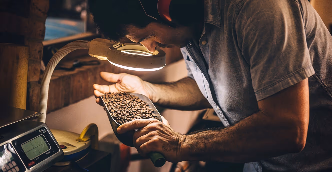 What is EUDR due diligence and what are the requirements for companies