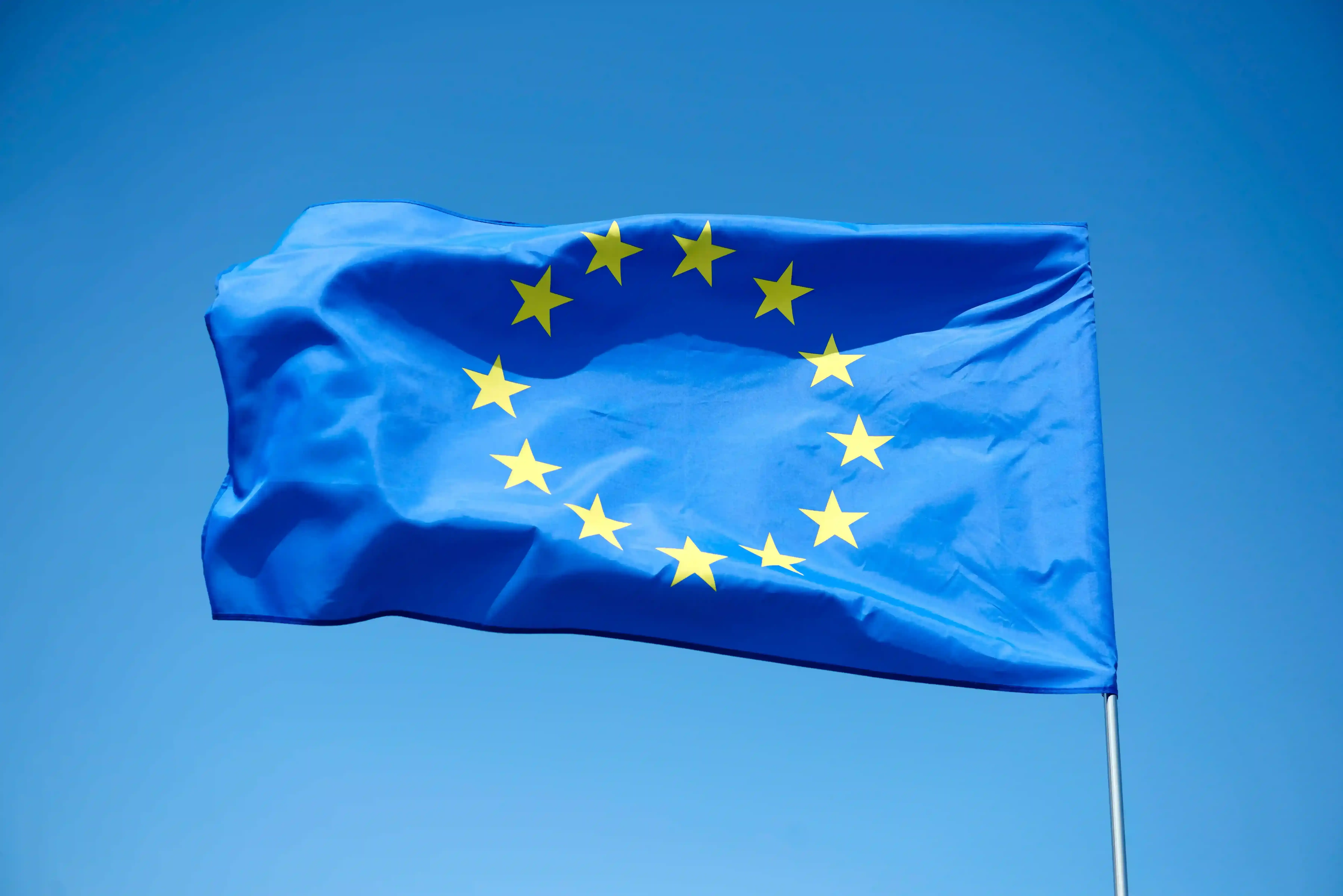 24 hours after the EUDR postponement letter: what we know today