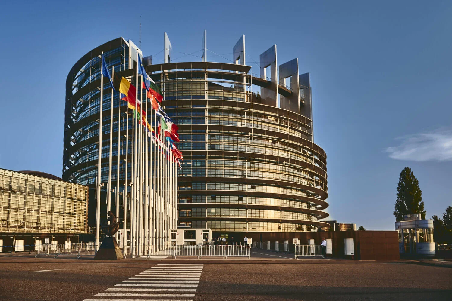 EUDR delay 2025 explained: New timeline, process & what companies should know
