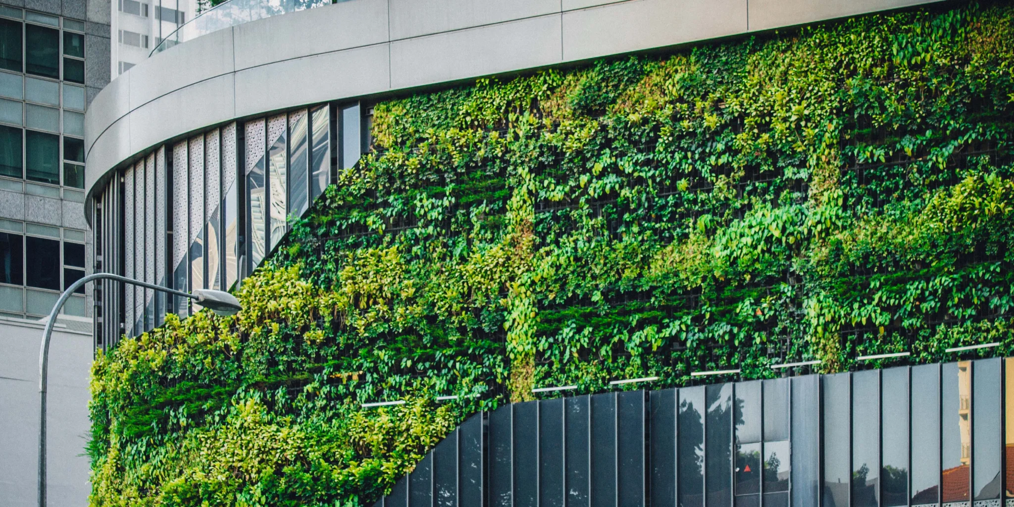 Decarbonization certifications for mid-market companies: how to get them