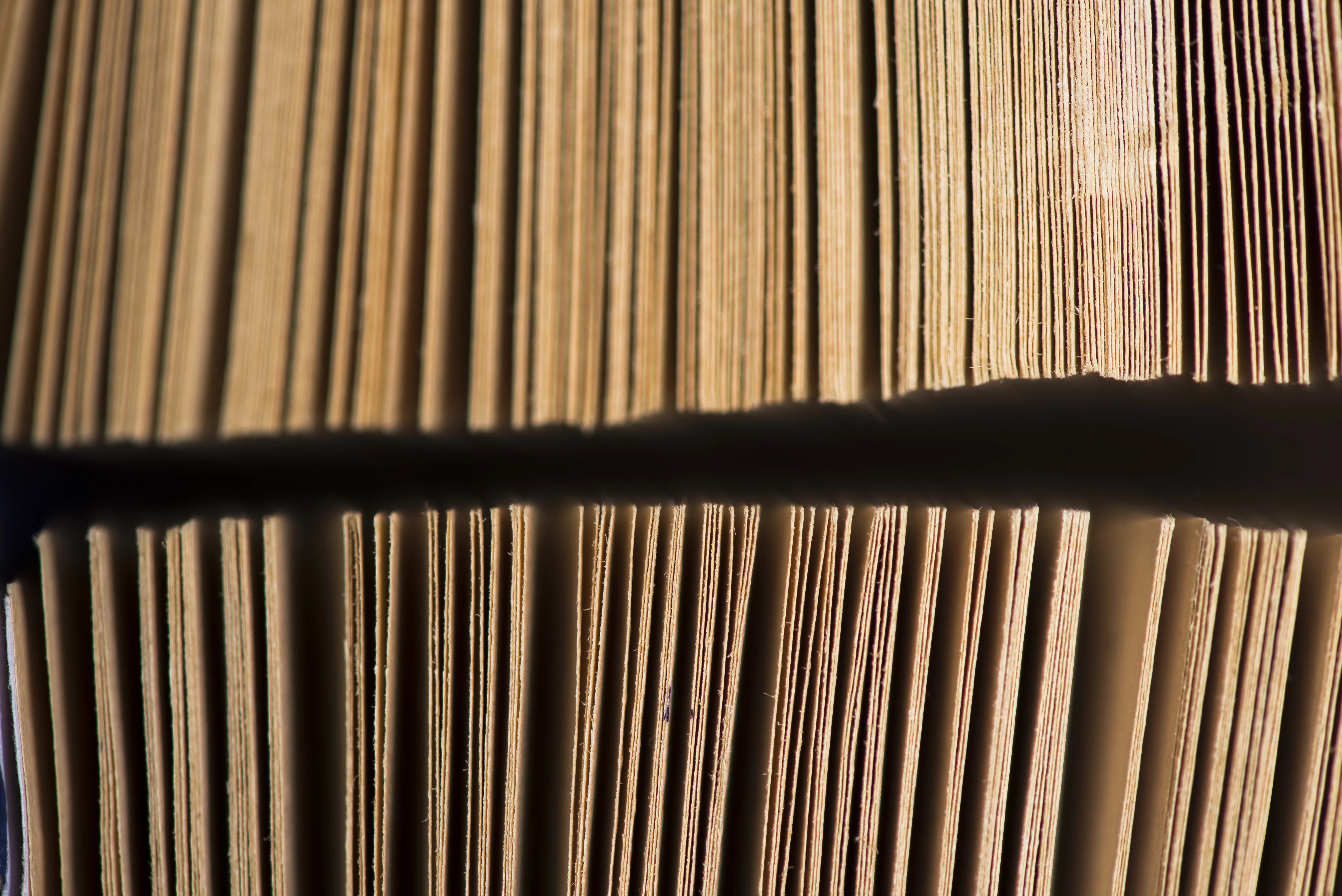 PPWR recyclability grades and recycled content targets: what importers need to know