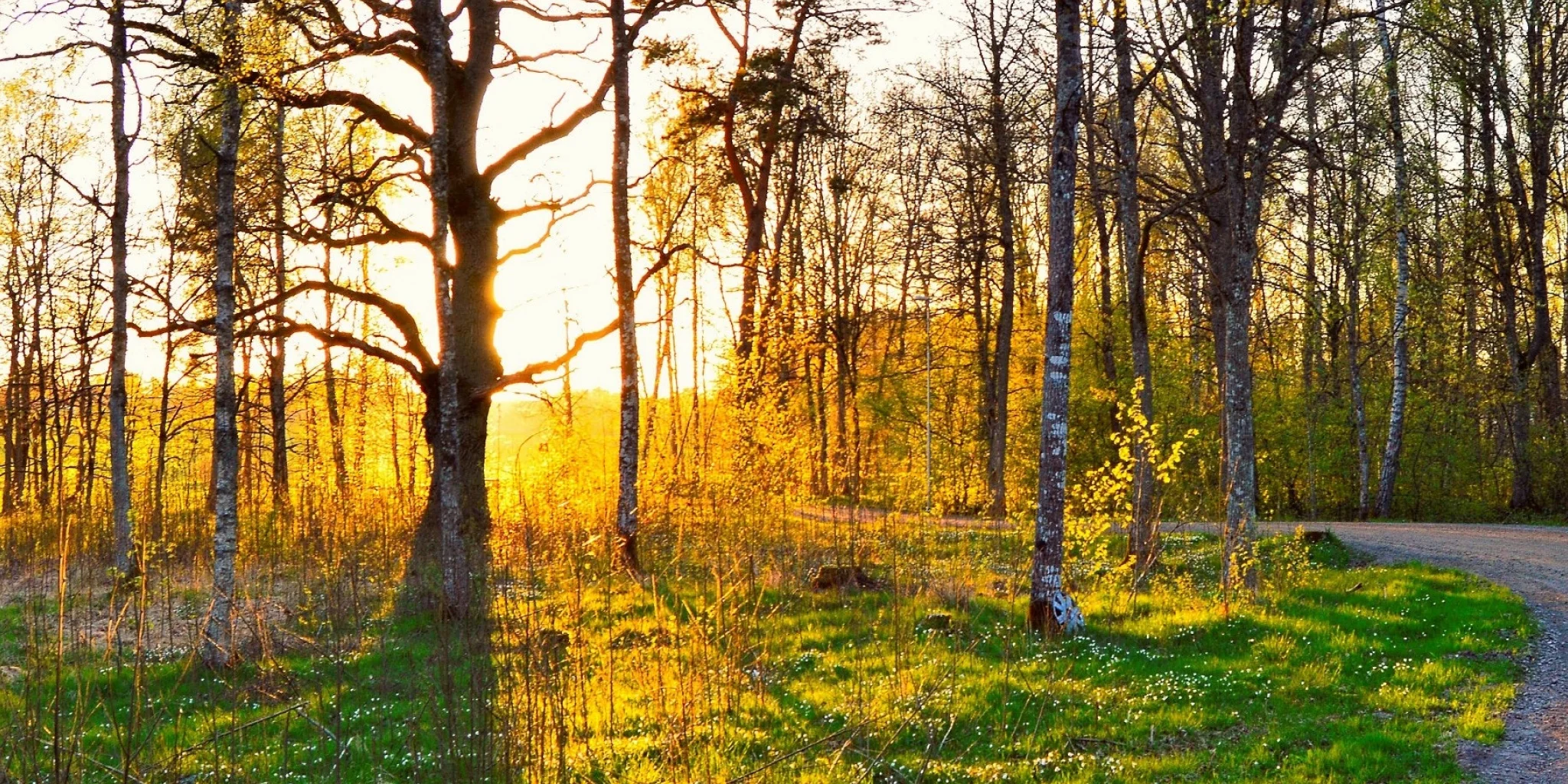 The GHG Protocol Explained: A Complete Guide to Corporate Emissions Reporting - Coolset