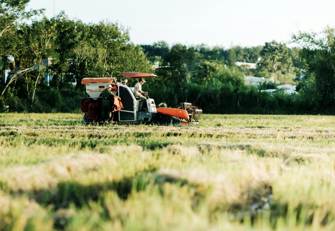 EU Deforestation Regulation (EUDR): operator obligations before December 2026
