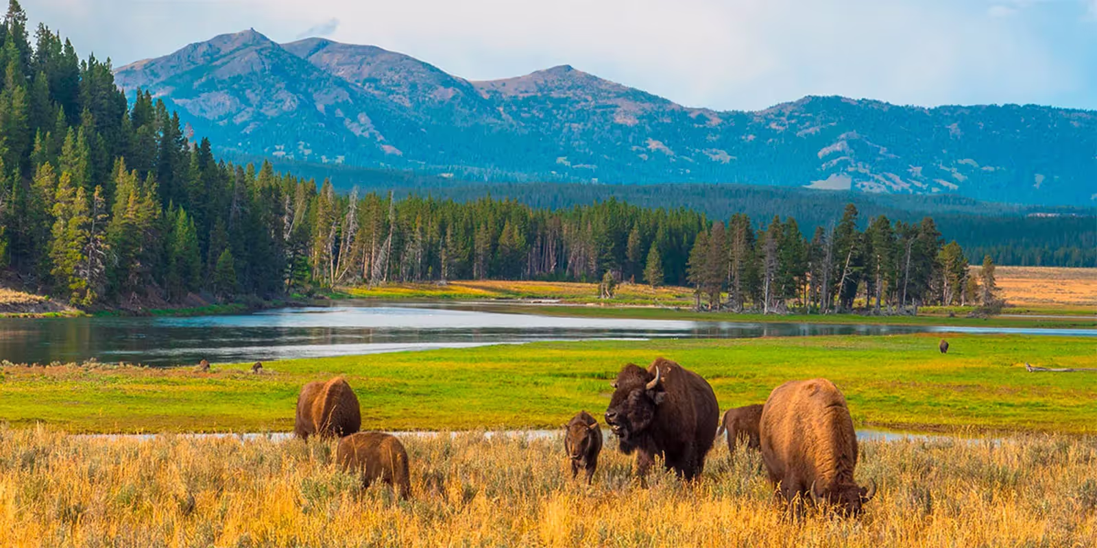 Backcountry Safaris