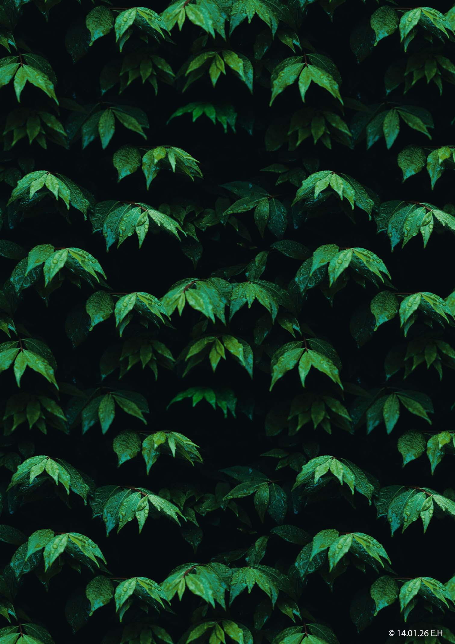 Digitalt kunstverk av Egil Hovda: Bildene mine er som regel svært fargerike. Jeg ser ikke for meg bildene før jeg setter i gang, så de blir til etterhvert som jeg arbeider med dem.