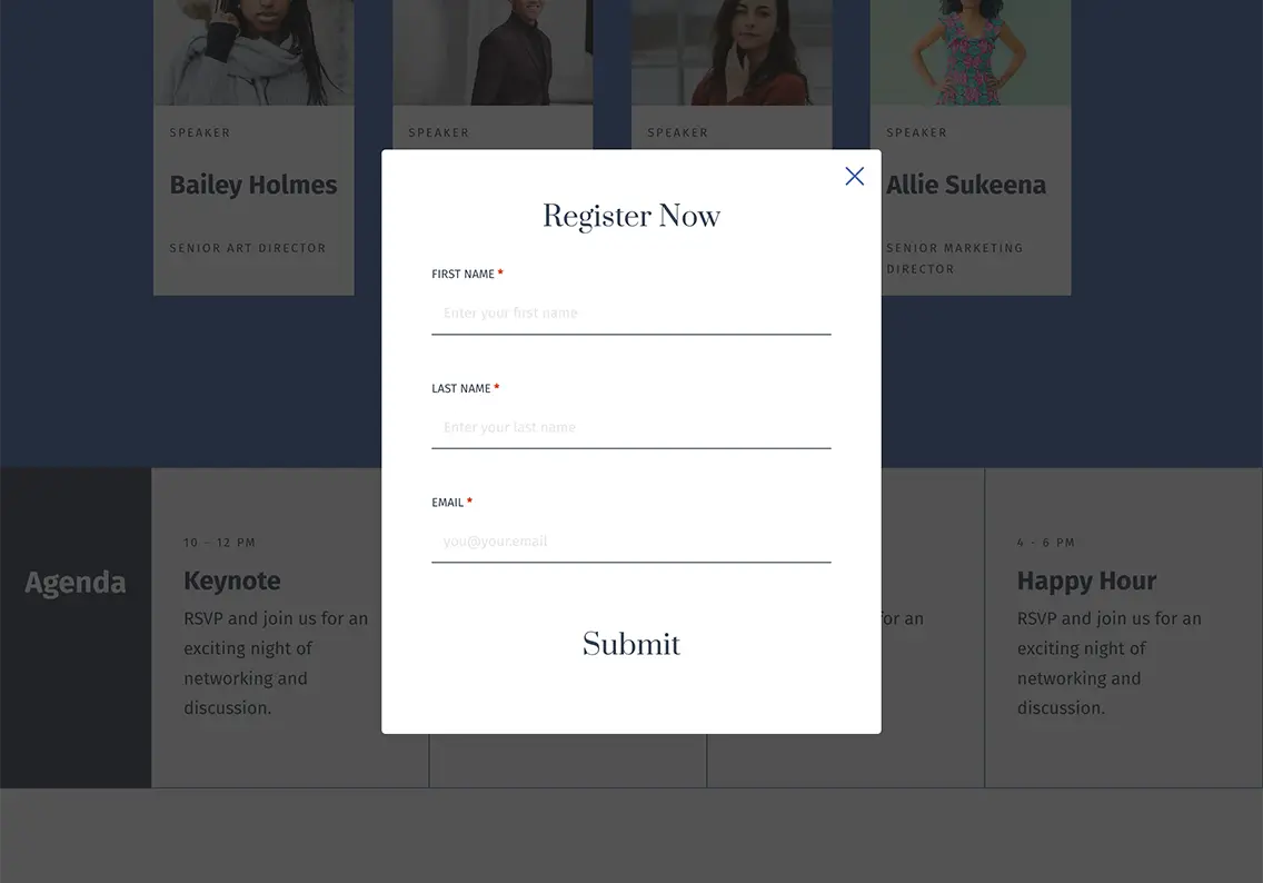 Theme Registration Form Template